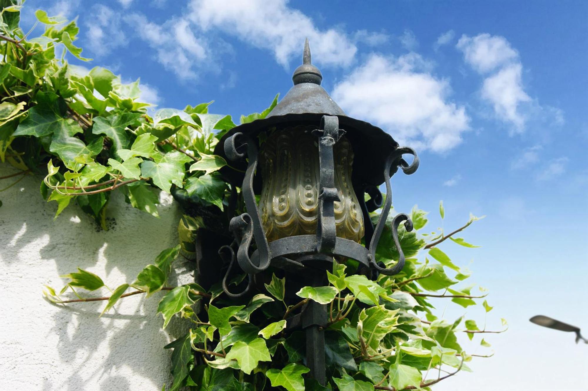 Dulcius Ex Asperis Bed & Breakfast Ponte Nizza Экстерьер фото